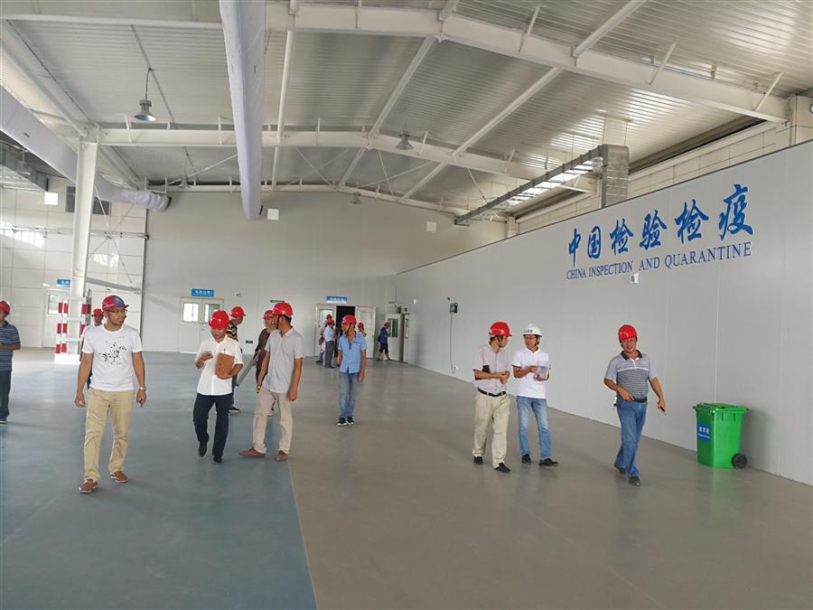 中国·88858cc永利(股份)官方网站