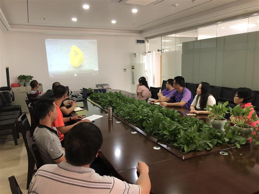 中国·88858cc永利(股份)官方网站