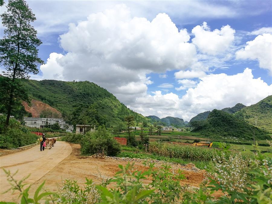 中国·88858cc永利(股份)官方网站