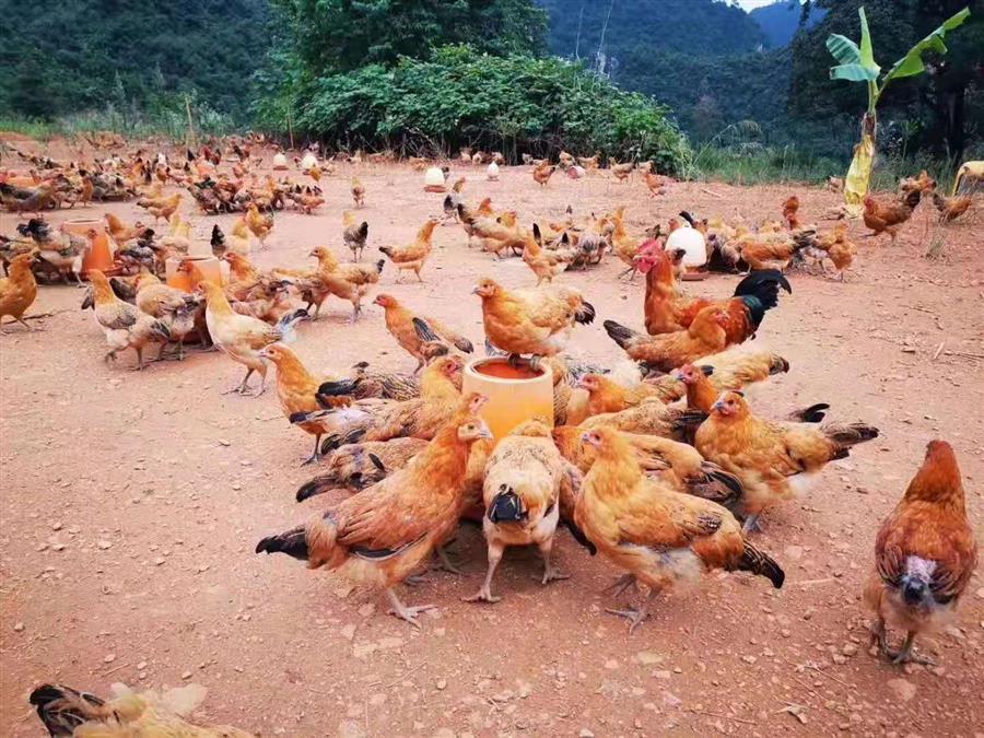 中国·88858cc永利(股份)官方网站