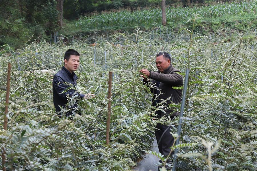 中国·88858cc永利(股份)官方网站