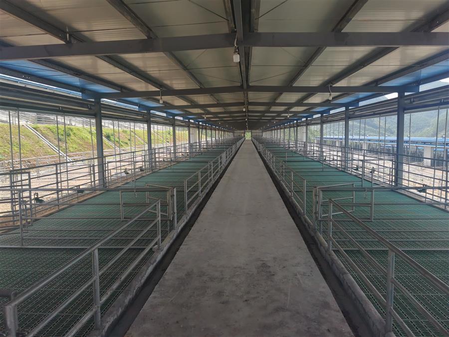 中国·88858cc永利(股份)官方网站