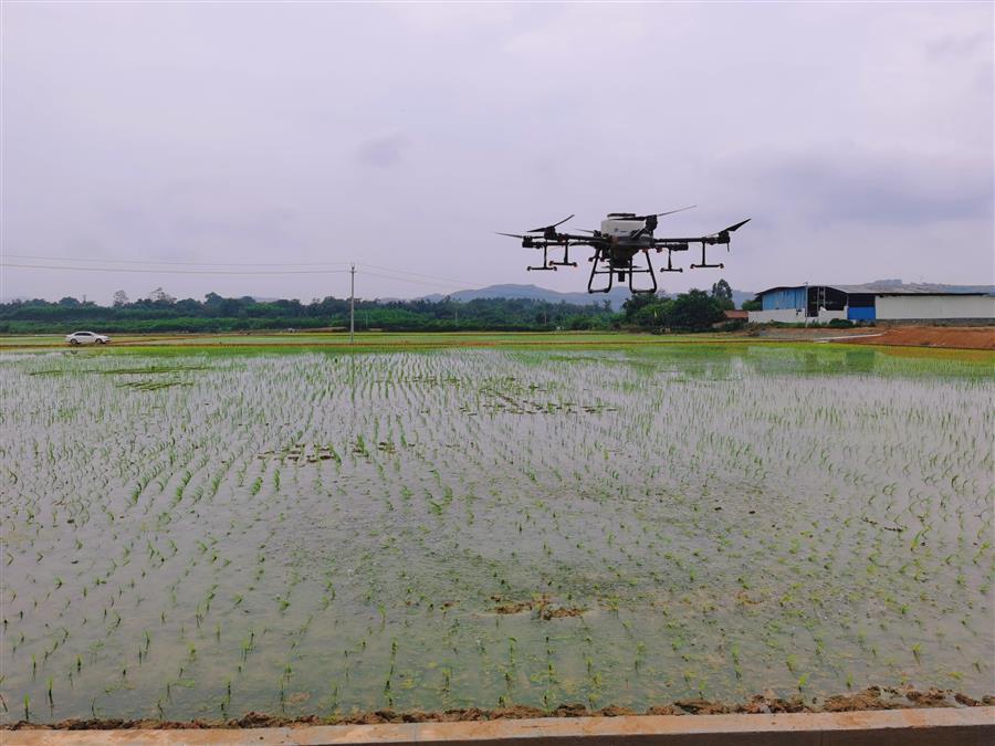 中国·88858cc永利(股份)官方网站