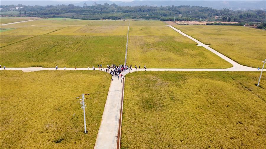 中国·88858cc永利(股份)官方网站