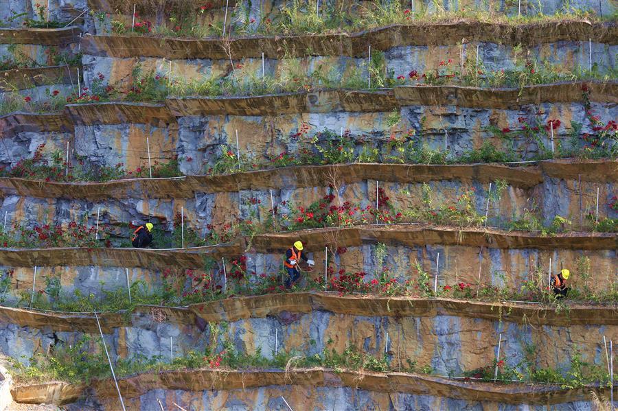中国·88858cc永利(股份)官方网站