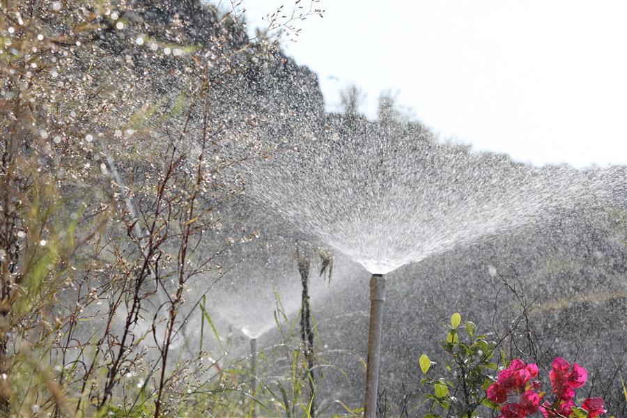 中国·88858cc永利(股份)官方网站