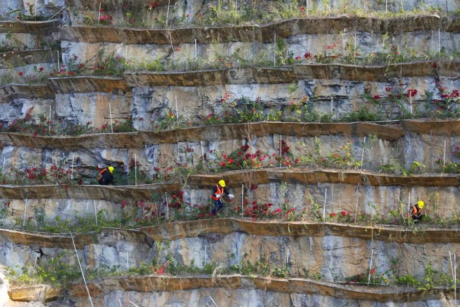 中国·88858cc永利(股份)官方网站