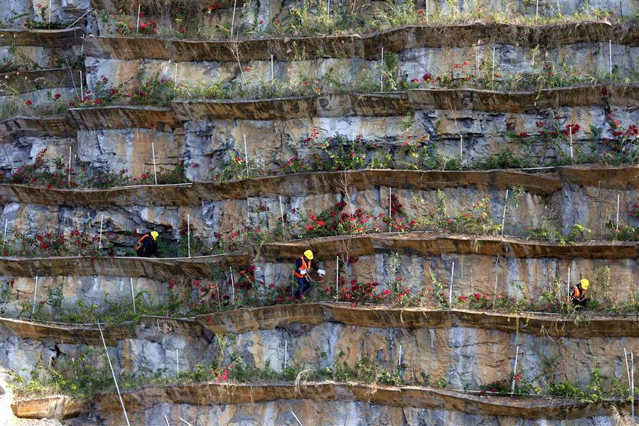 中国·88858cc永利(股份)官方网站