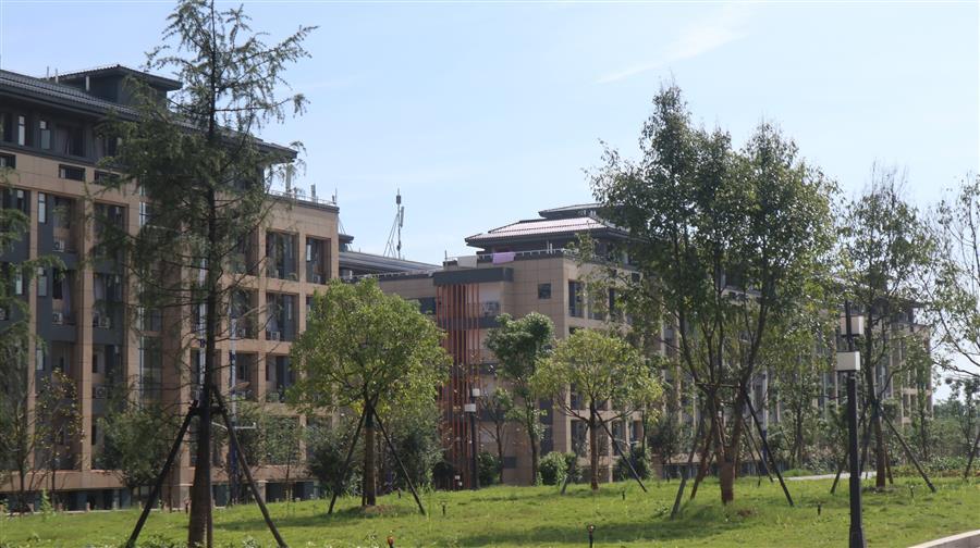 中国·88858cc永利(股份)官方网站