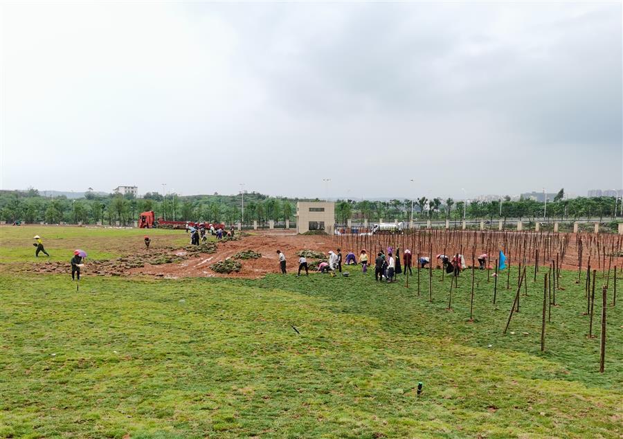 中国·88858cc永利(股份)官方网站