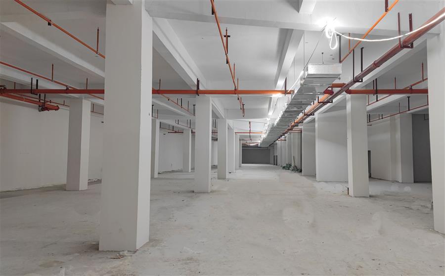 中国·88858cc永利(股份)官方网站