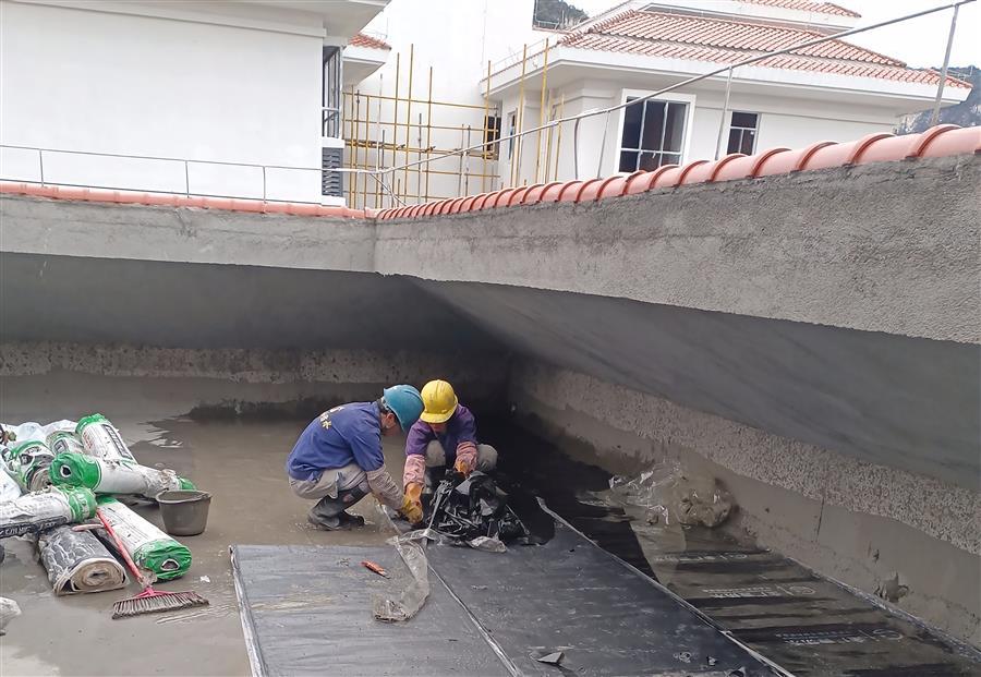 中国·88858cc永利(股份)官方网站