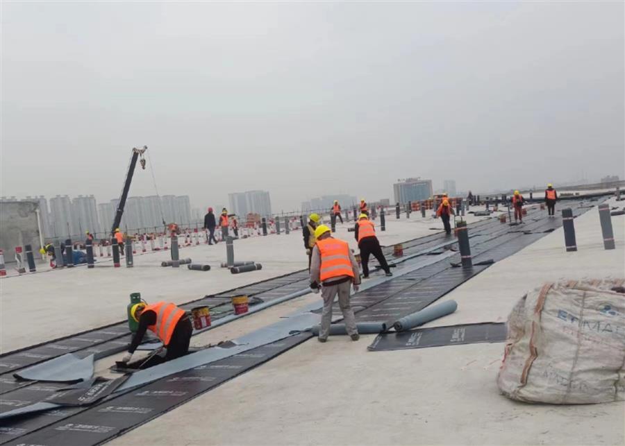 中国·88858cc永利(股份)官方网站