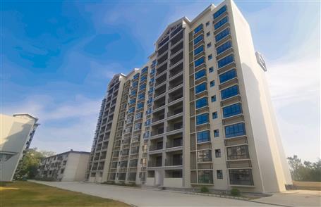 第五分公司承建的一项目通过完工验收