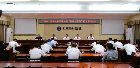 增强“四库一平台”信息治理   推动公司生长