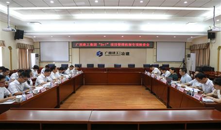 集团公司检查组到公司开展“3+1”项目治理机制专项检查