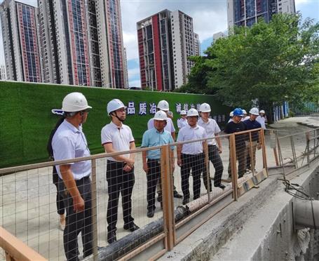 唐志华带队到桂南分公司项目视察督办项目推进清静质量事情