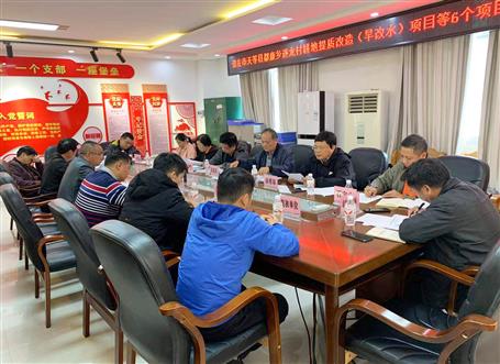 桂海分公司承建天等县旱改水项目二标段通过完工验收