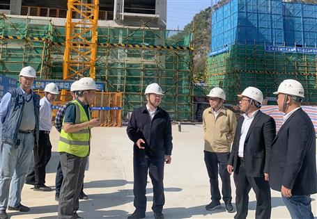 覃振华带队到磐龙府项目开展2022年春节后复工复产暨第一季度清静生产质量综合大检查