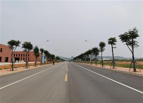 冶建公司承建的这两条路完工通车